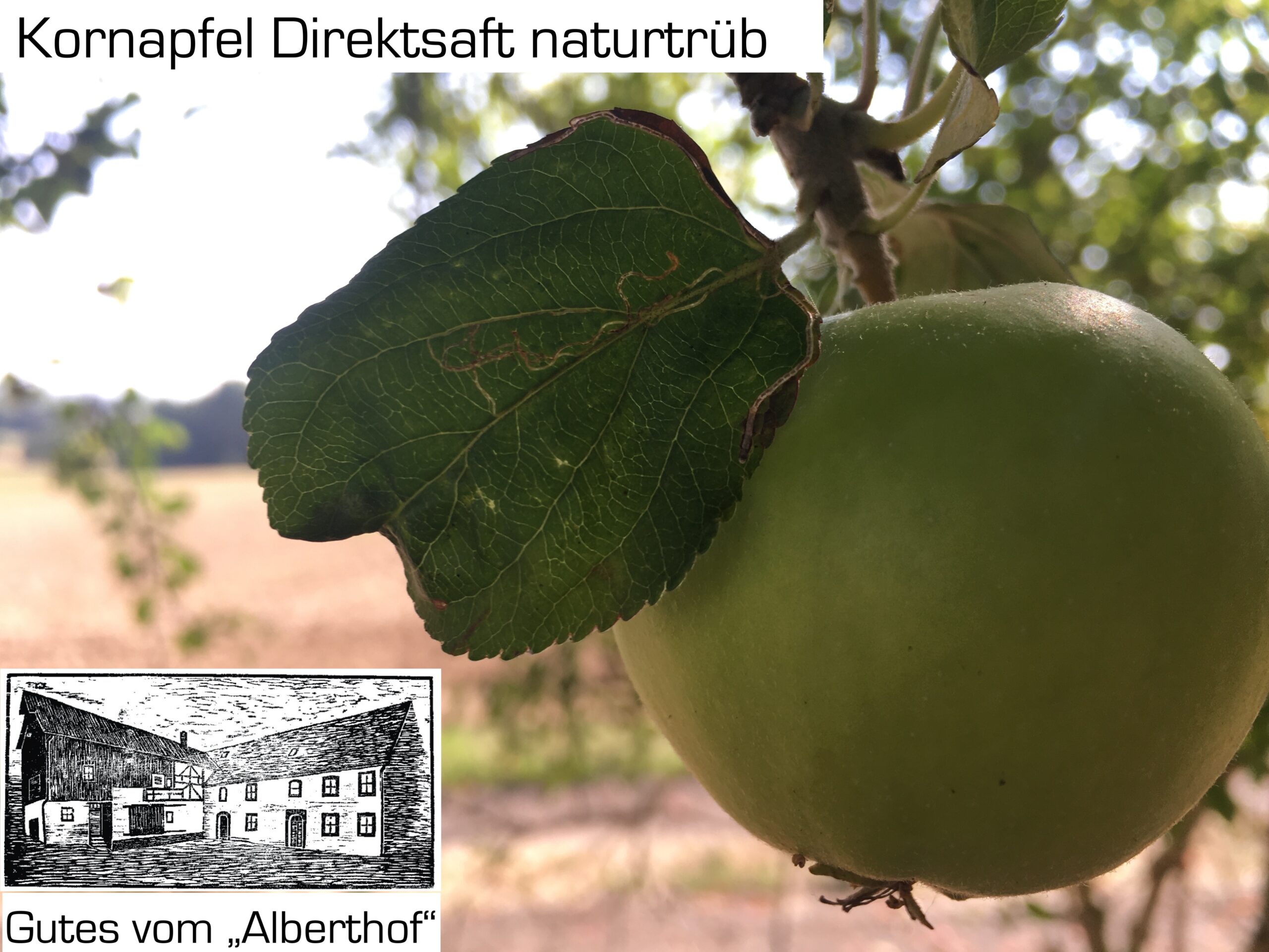 Kornapfel_direktsaft_2022